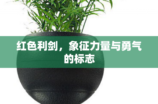 象征力量与勇气的标志图片