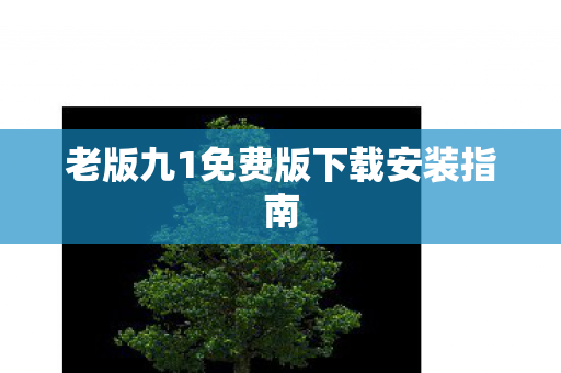 老版九1免费版下载安装指南图片