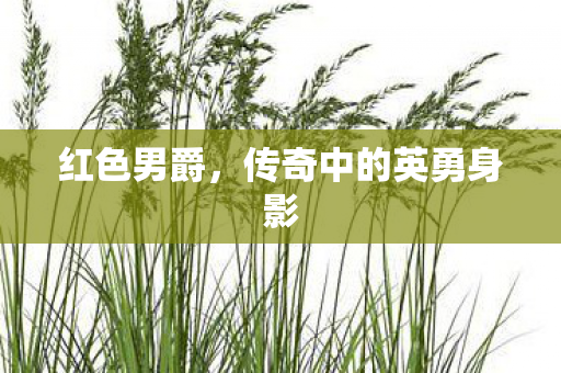 传奇中的英勇身影图片