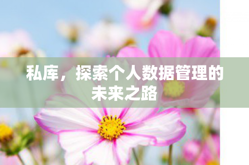 探索个人数据管理的未来之路图片