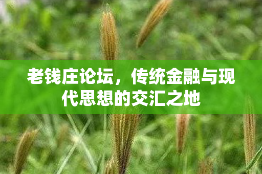 传统金融与现代思想的交汇之地图片