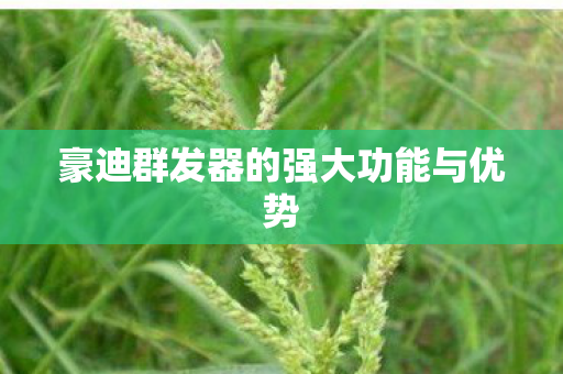 豪迪群发器的强大功能与优势图片