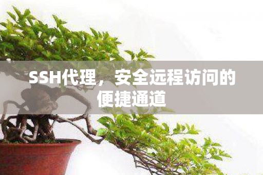 安全远程访问的便捷通道图片