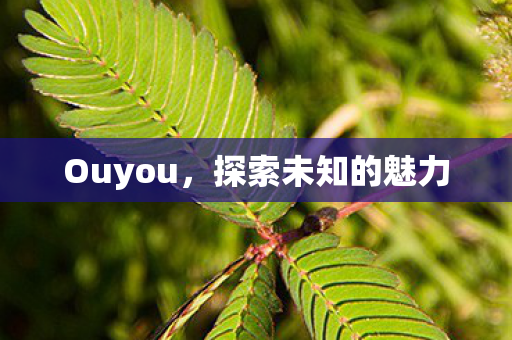探索未知的魅力图片