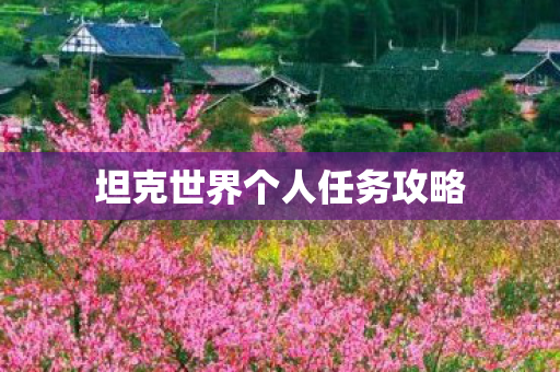 坦克世界个人任务攻略图片