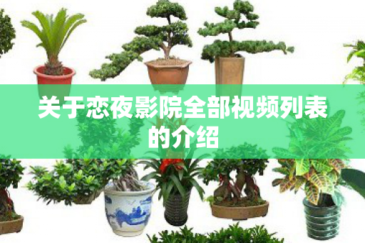 关于恋夜影院全部视频列表的介绍图片
