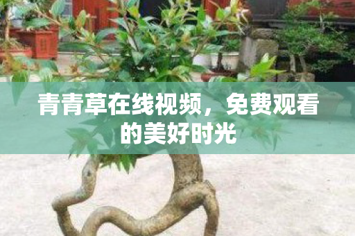 免费观看的美好时光图片