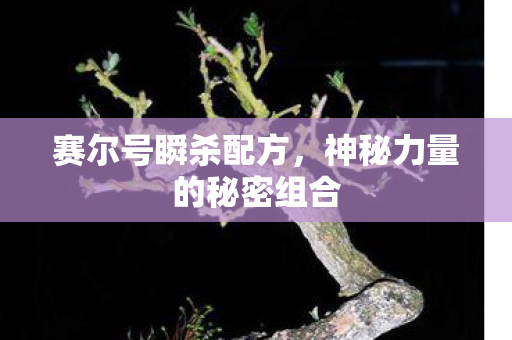 神秘力量的秘密组合图片