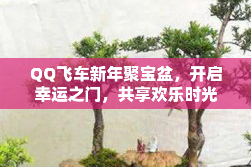 QQ飞车新年聚宝盆图片