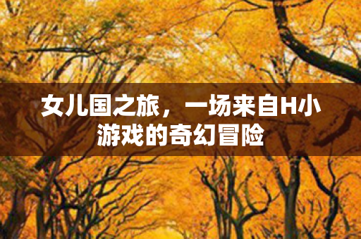 一场来自H小游戏的奇幻冒险图片