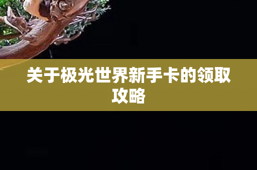 关于极光世界新手卡的领取攻略图片
