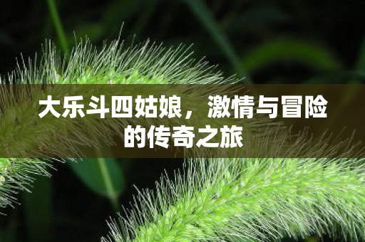 激情与冒险的传奇之旅图片