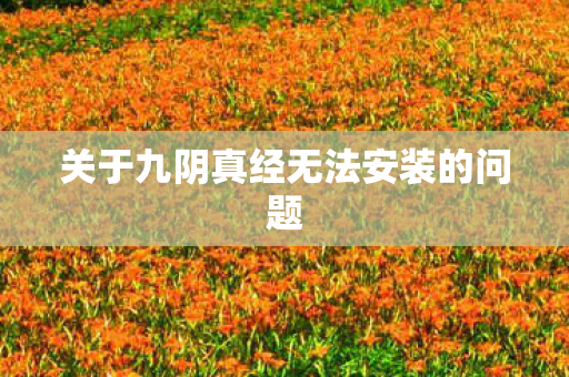 关于九阴真经无法安装的问题图片