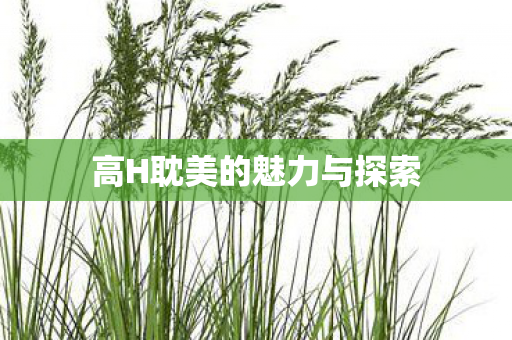 高H耽美的魅力与探索图片