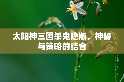 太阳神三国杀鬼隐版图片