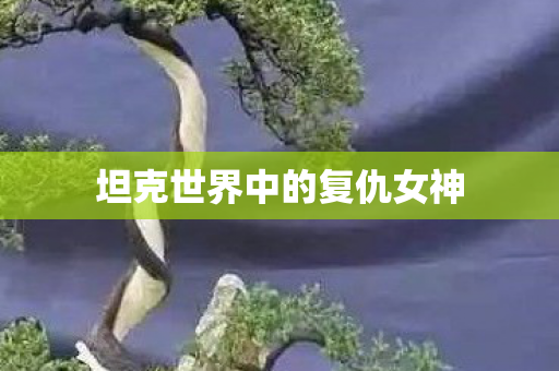 坦克世界中的复仇女神图片