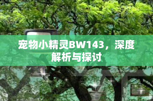 宠物小精灵BW143图片