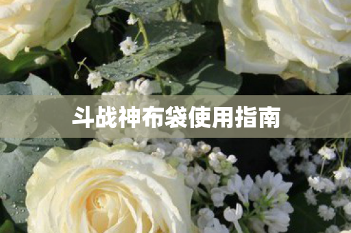 斗战神布袋使用指南图片