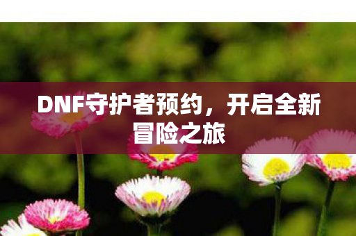 DNF守护者预约图片
