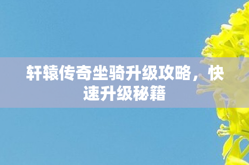 轩辕传奇坐骑升级攻略图片