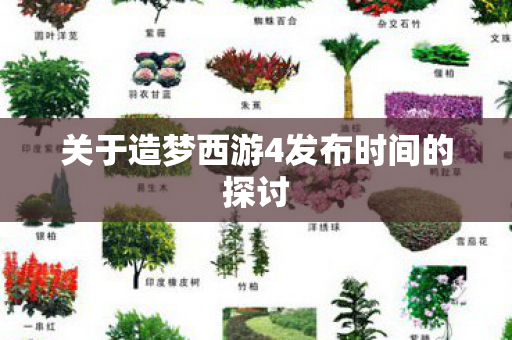 关于造梦西游4发布时间的探讨图片