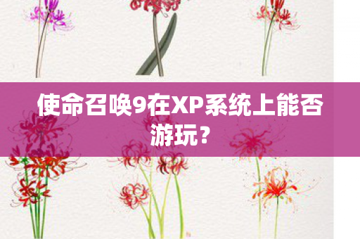 使命召唤9在XP系统上能否游玩图片