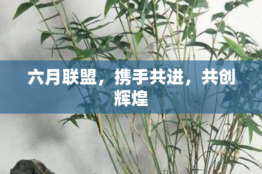 六月联盟图片