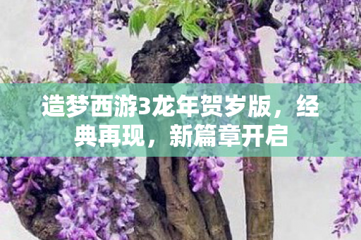 造梦西游3龙年贺岁版图片