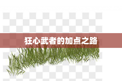 狂心武者的加点之路图片