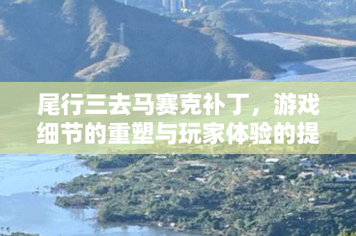 游戏细节的重塑与玩家体验的提升图片
