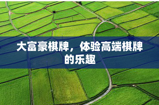 体验高端棋牌的乐趣图片