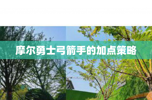 摩尔勇士弓箭手的加点策略图片