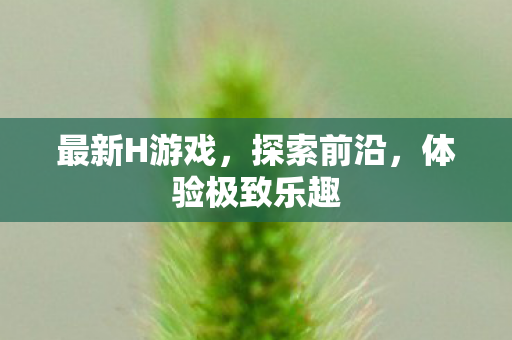 体验极致乐趣图片