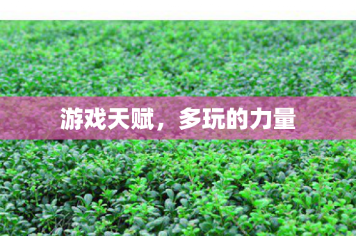 多玩的力量图片