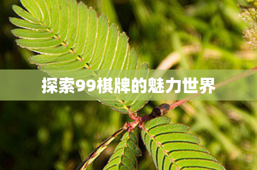 探索99棋牌的魅力世界图片
