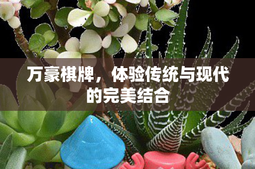 体验传统与现代的完美结合图片