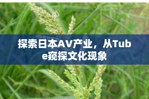 从Tube窥探文化现象图片