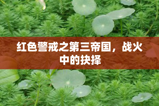 红色警戒之第三帝国图片