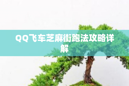 QQ飞车芝麻街跑法攻略详解图片