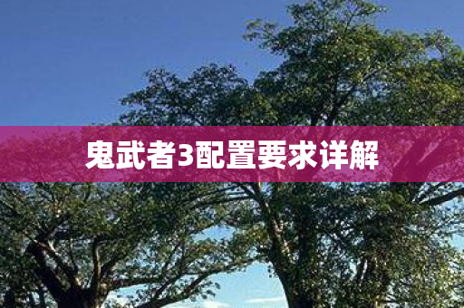 鬼武者3配置要求详解图片