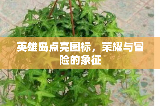 荣耀与冒险的象征图片