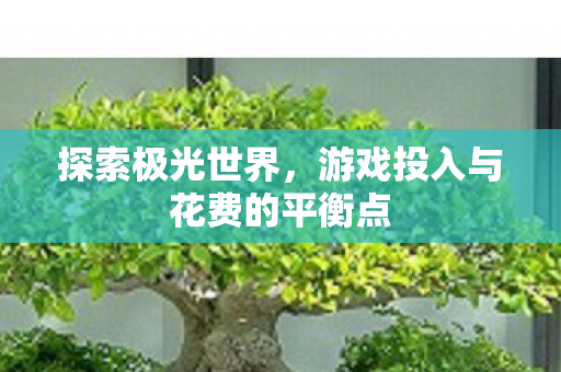 游戏投入与花费的平衡点图片