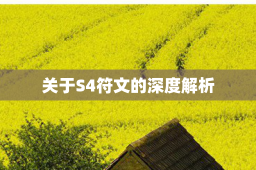 关于S4符文的深度解析图片
