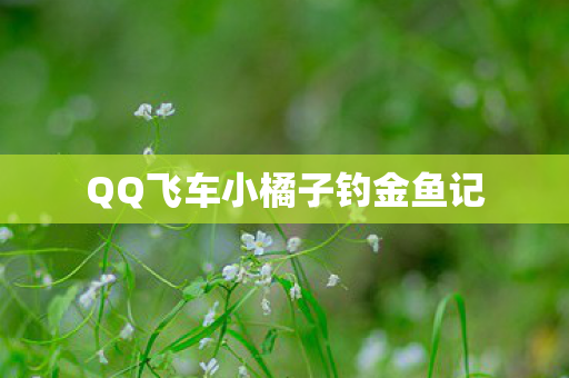 QQ飞车小橘子钓金鱼记图片