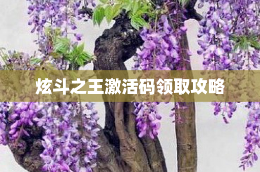 炫斗之王激活码领取攻略图片