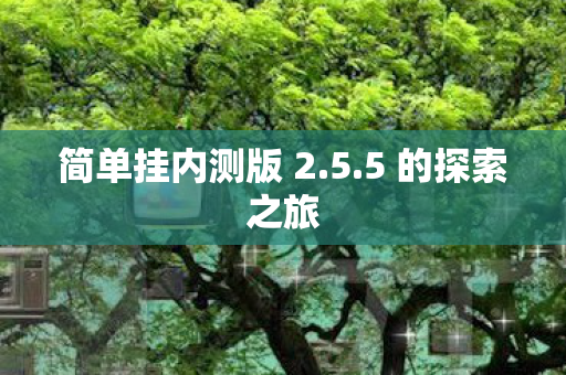 简单挂内测版 2图片
