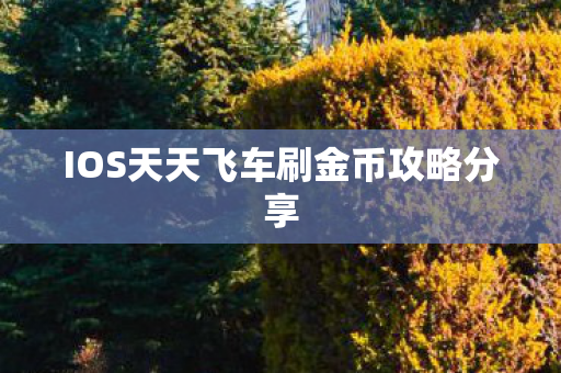 IOS天天飞车刷金币攻略分享图片