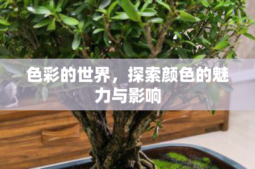 探索颜色的魅力与影响图片