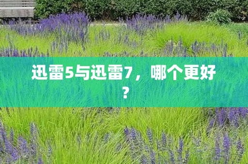 迅雷5与迅雷7图片