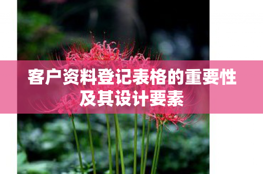 客户资料登记表格的重要性及其设计要素图片